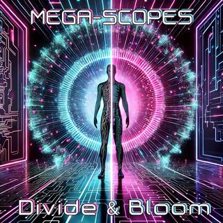 Divide & Bloom video